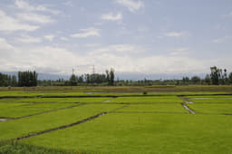 Scenery of all colours. 